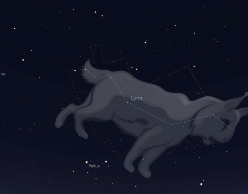 constellation du lynx