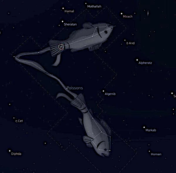constelación de los peces