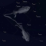 20 Février - 20 Mars - Poissons, loyauté et désintéressement