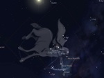 November 21 - December 21 - Sagittarius, fiery, rebellious