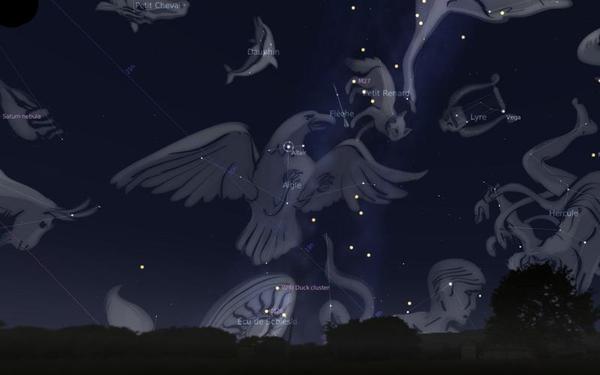 August sky, constellation of the Eagle