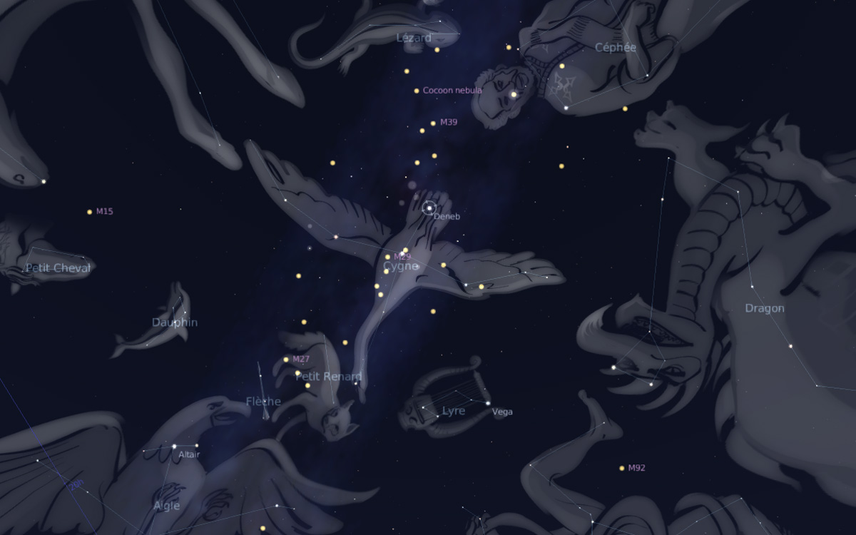 Céu de julho para crianças, constelação de Cygnus