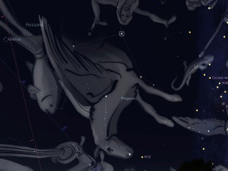 constelación de Pegaso