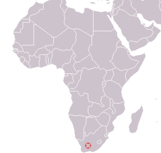 sediba découvert en Afrique-du-sud