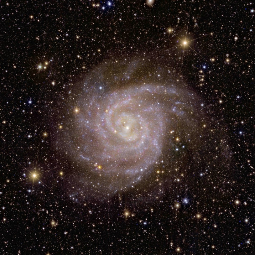 La galaxie cachée, une des premières images d'Euclid