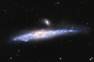galaxie de la baleine ou NGC 4631