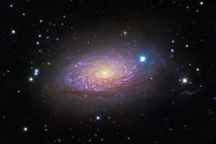 galaxie du tournesol ou NGC5055 ou M63