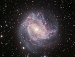 Notre Galaxie ressemble à la galaxie spirale M83