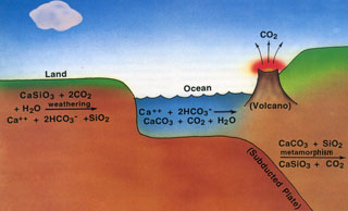ciclo carbonato silicato
