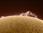 solar prominences 2010