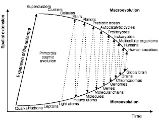 macroevolução