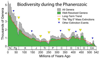 Biodiversité durant le phanérozoïque